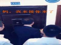 成武维生素网络科技有限公司
