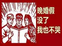 成武维生素网络科技有限公司