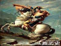 成武维生素网络科技有限公司