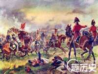 成武维生素网络科技有限公司