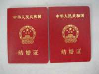 成武维生素网络科技有限公司