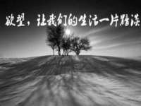 成武维生素网络科技有限公司