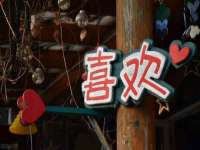 成武维生素网络科技有限公司
