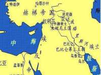 成武维生素网络科技有限公司
