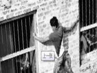 成武维生素网络科技有限公司