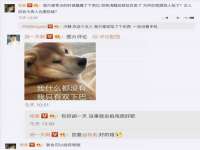 成武维生素网络科技有限公司