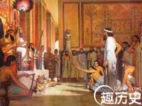 成武维生素网络科技有限公司