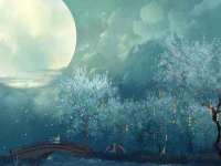 成武维生素网络科技有限公司