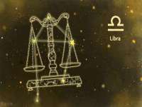 成武维生素网络科技有限公司
