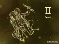 成武维生素网络科技有限公司