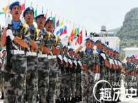 成武维生素网络科技有限公司