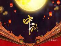 成武维生素网络科技有限公司