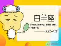 成武维生素网络科技有限公司