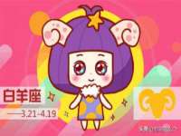 成武维生素网络科技有限公司
