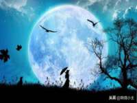 成武维生素网络科技有限公司