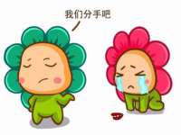 成武维生素网络科技有限公司
