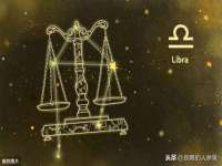 成武维生素网络科技有限公司
