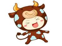 成武维生素网络科技有限公司