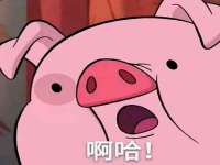 成武维生素网络科技有限公司