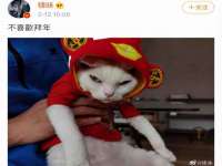 成武维生素网络科技有限公司