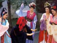 成武维生素网络科技有限公司