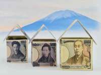 成武维生素网络科技有限公司