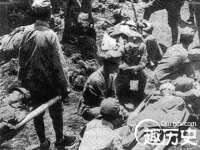 成武维生素网络科技有限公司