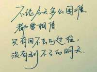 成武维生素网络科技有限公司