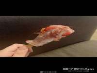 成武维生素网络科技有限公司