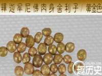成武维生素网络科技有限公司