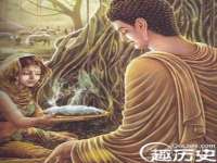 成武维生素网络科技有限公司