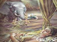 成武维生素网络科技有限公司