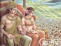 成武维生素网络科技有限公司